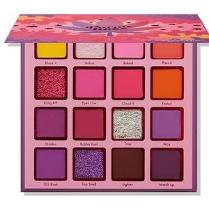 NWT Kara beauty purple haze palette